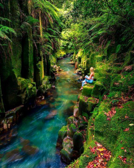 Beautiful Nature image