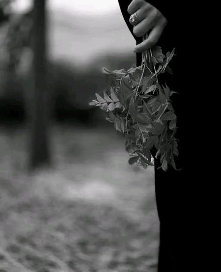 Beautiful Nature image