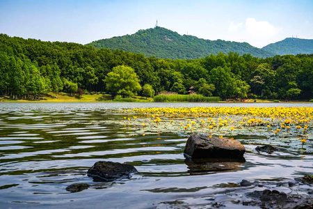 Beautiful Nature image
