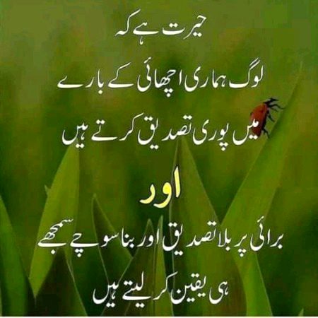 Bilkul right 👌