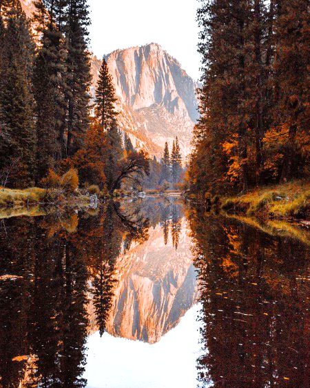 Beautiful Nature image