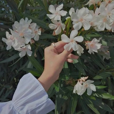 🎀 *🅛𝐢𝐠𝐡𝐭 𝐎𝐟 🅖𝐮𝐢𝐝𝐚𝐧𝐜𝐞* 🎀
✍🏻 "کبھی کسی کی زندگی کا وہ حصہ نہ بنیں 
 جسے وہ چھپانا چاہتے ہوں"
🔘___ 🦋