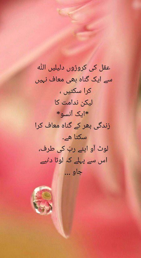 Islamic Quotes image