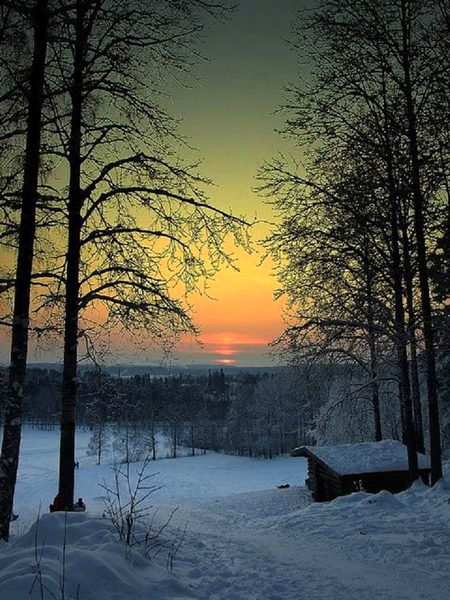 Beautiful Nature image