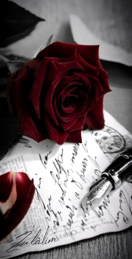 Beautiful Nature image