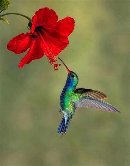 Beautiful Nature image