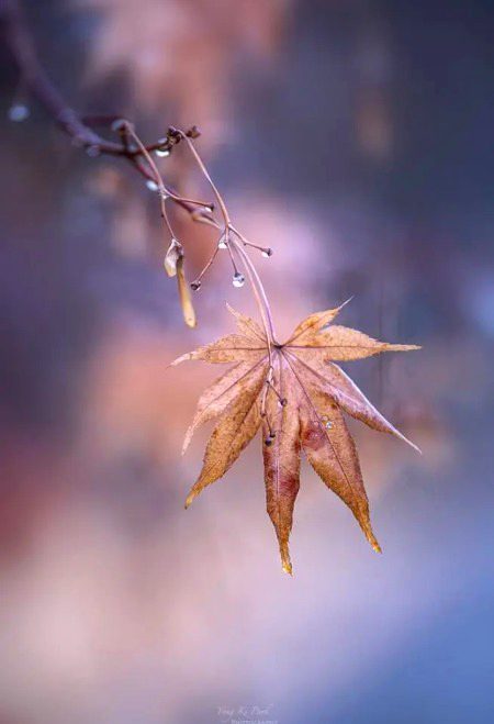 Beautiful Nature image