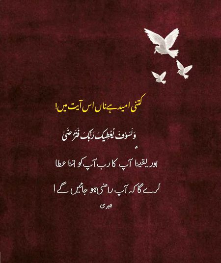 One day you thank yourself for not giving up