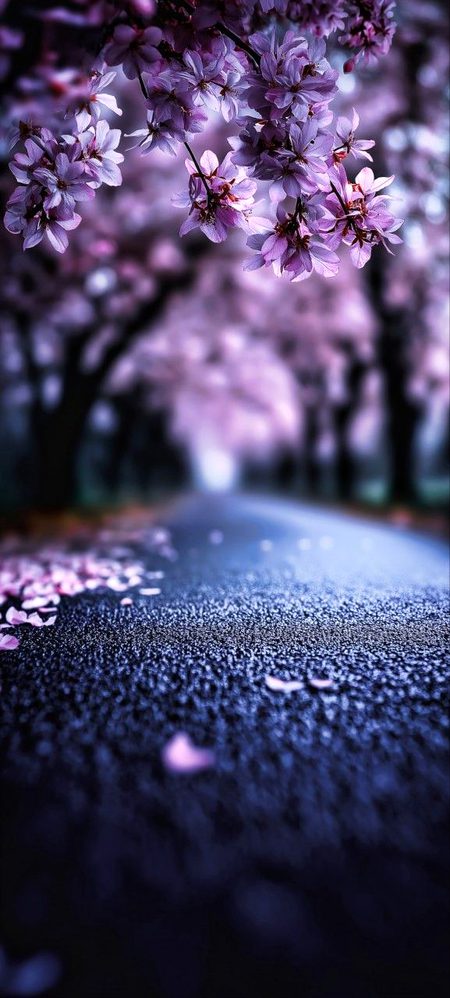 Beautiful Nature image