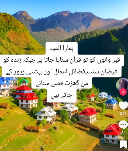 Memes & Satire image