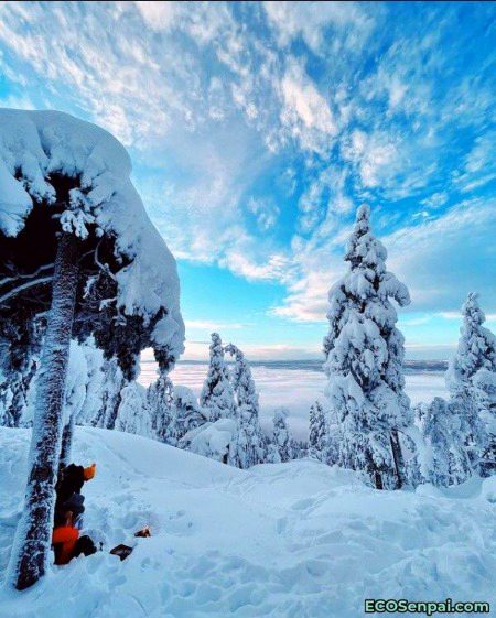 Beautiful Nature image