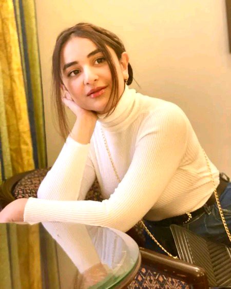Pakistani Celebs image
