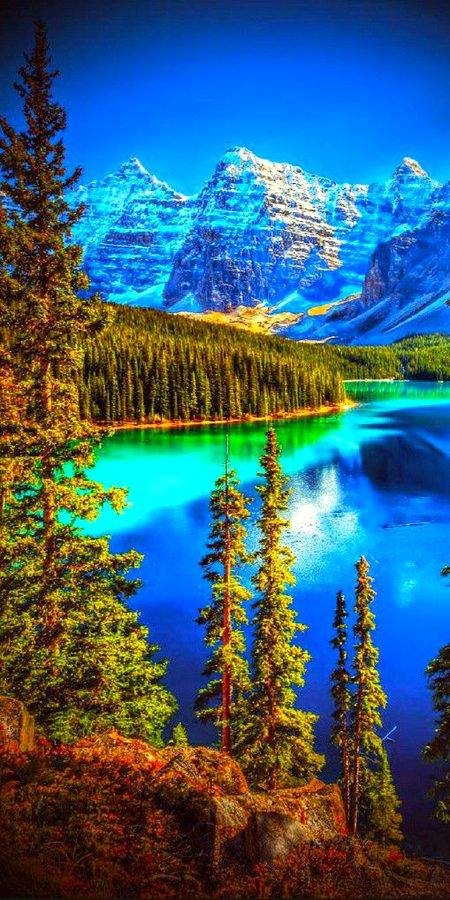 Beautiful Nature image