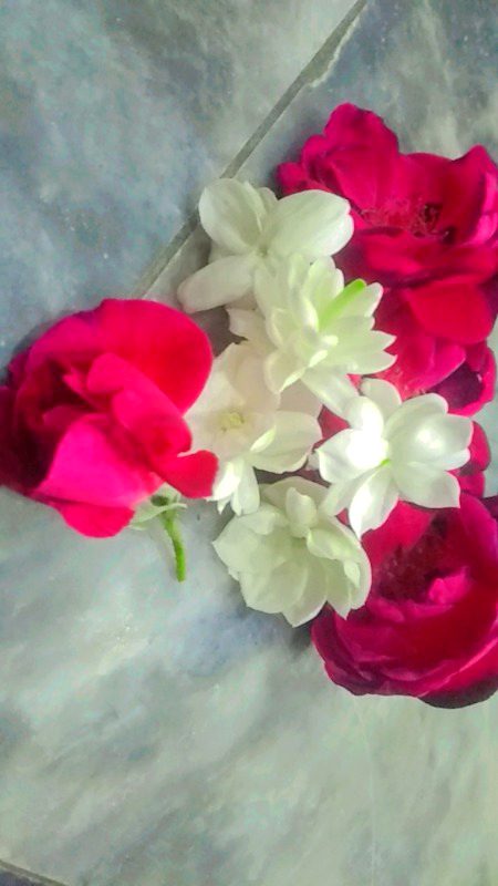 Beautiful Nature image