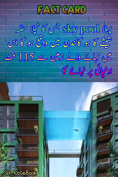 Interesting Posts image