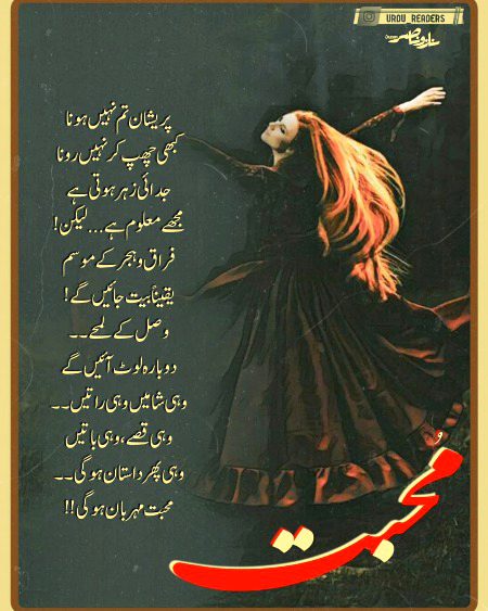 Romantic Novels image