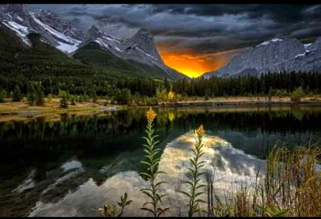 Beautiful Nature image