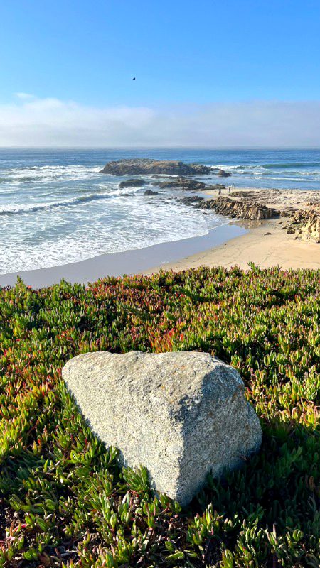 Half moon bay
