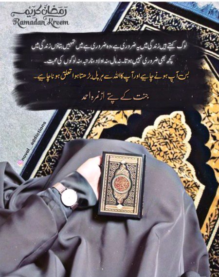 Islamic Quotes image