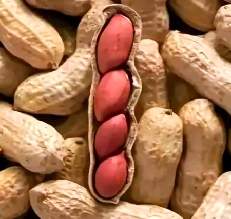 Beautiful Nature image