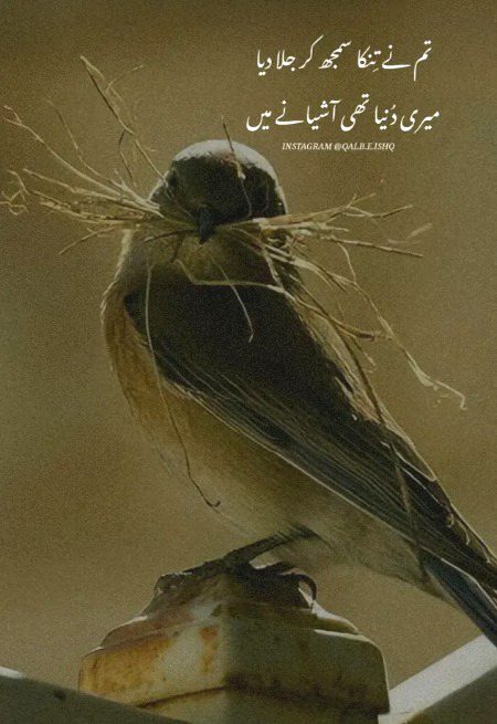 Sad Poetry image