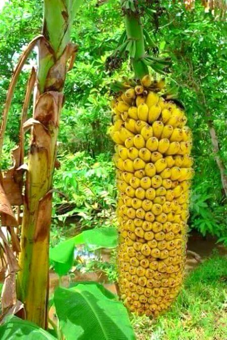Beautiful Nature image