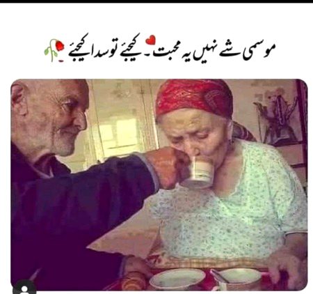 Love is life