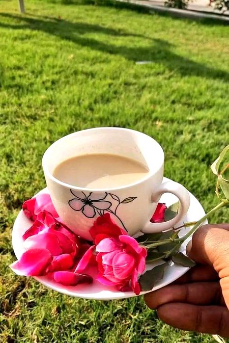 Beautiful Nature image