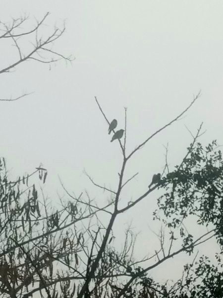 Beautiful Nature image