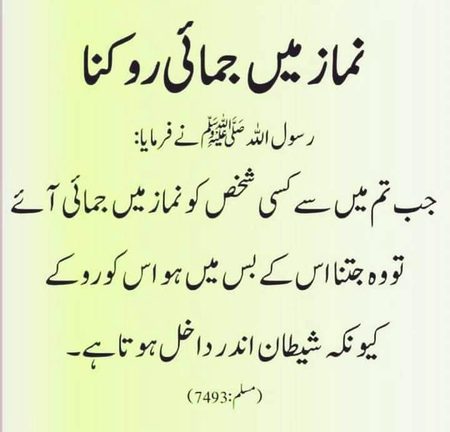 Islamic Quotes image