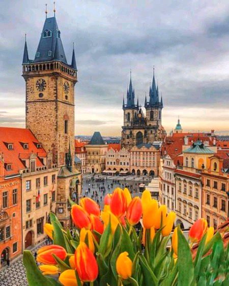 Beautiful Structures image