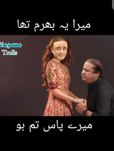 Memes & Satire image