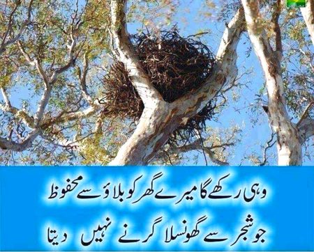Beshak