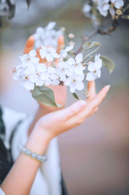 Beautiful Nature image