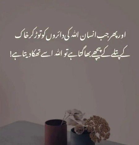 Pari....🥀🥀🥀