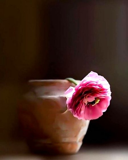 Beautiful Nature image