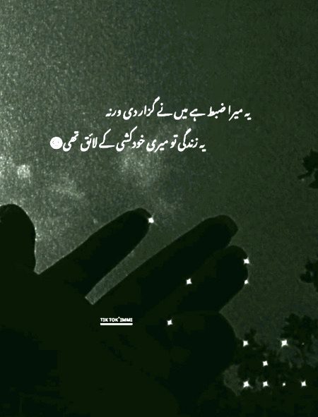 Sad Poetry image