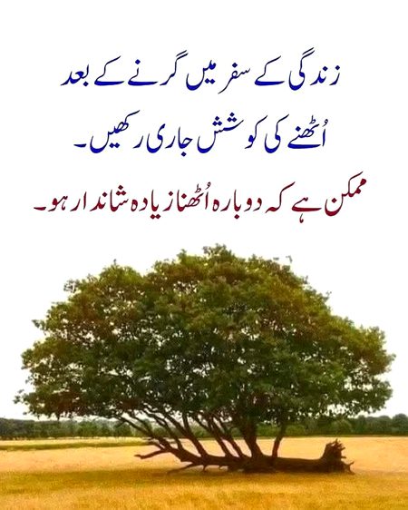 Motivational Quotes image