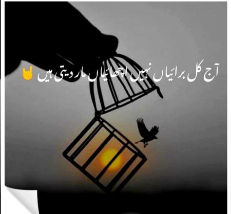 Sad Poetry image