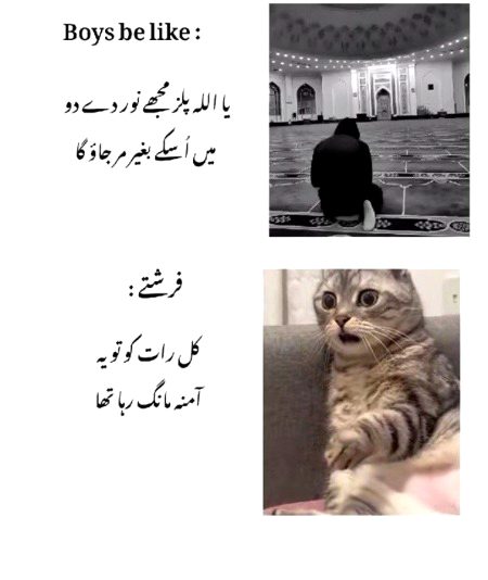 Memes & Satire image