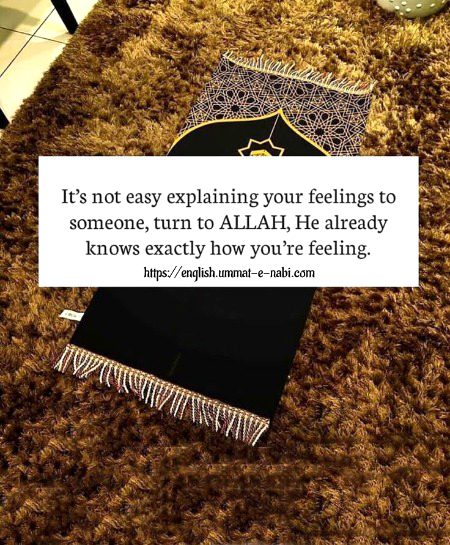 Islamic Quotes image
