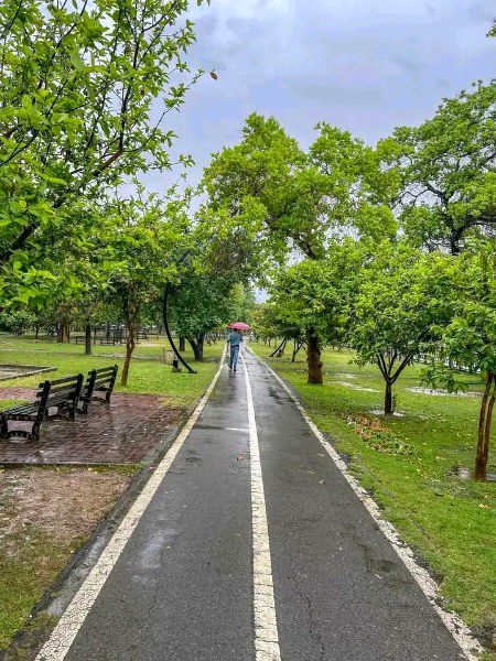 Beautiful Nature image