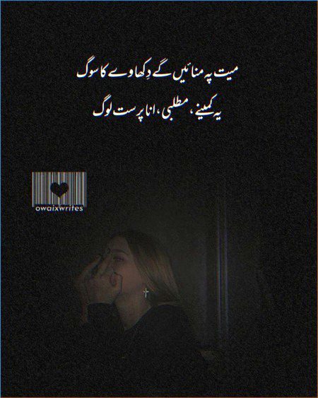 میں اپنے دُکھوں کا لاڈلا ہوں'
جون ایلیاء...