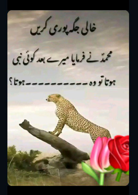 Knowledge Test image