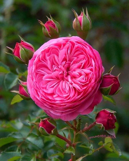 Beautiful Nature image