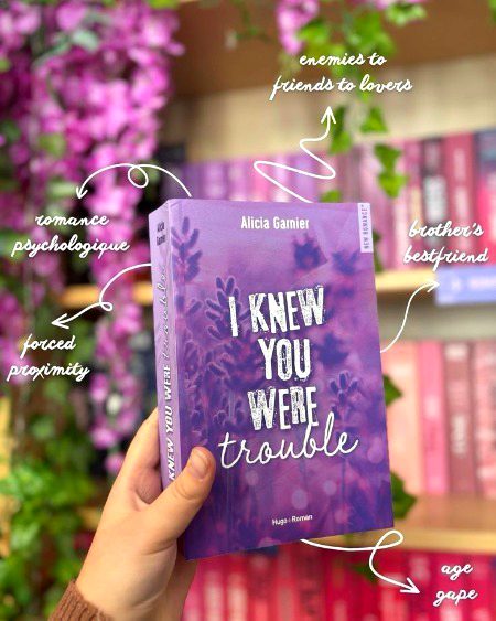 Romantic Novels image