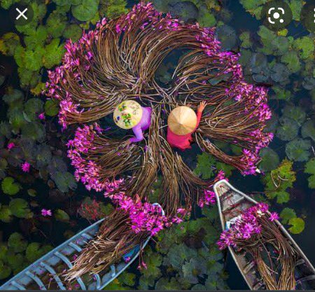 Beautiful Nature image
