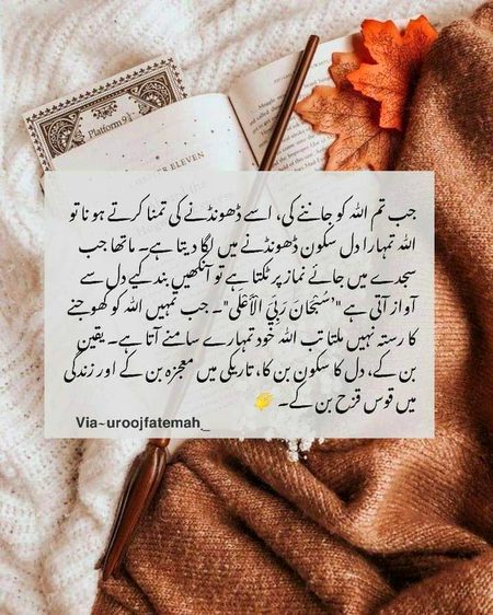 Islamic Quotes image