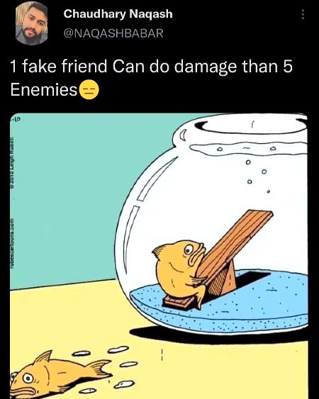 Memes & Satire image