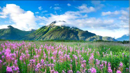 Beautiful Nature image